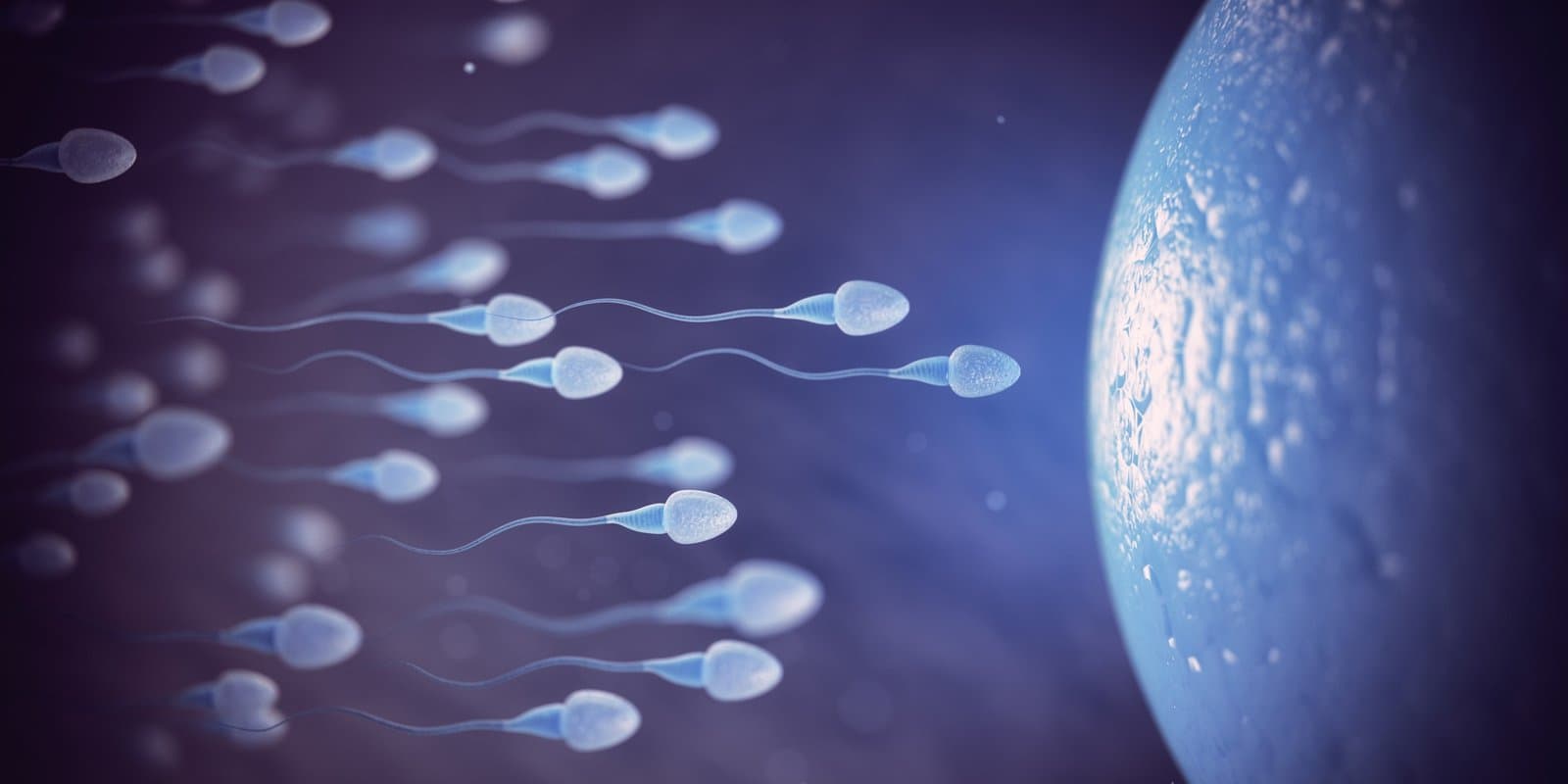 Infertilidade Masculina: causas, diagnóstico e por que é metade da história